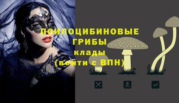 гашиш Пересвет
