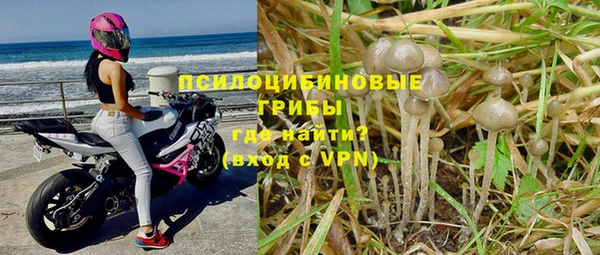 гашиш Пересвет