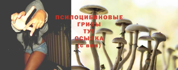 трава Переславль-Залесский