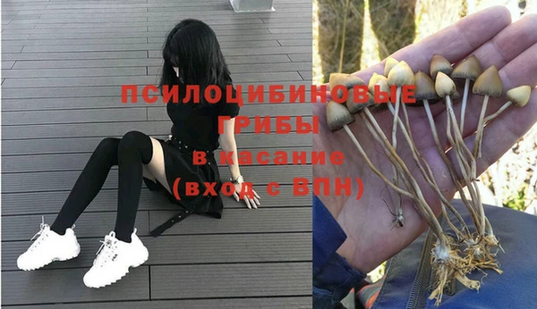 COCAINE Покачи