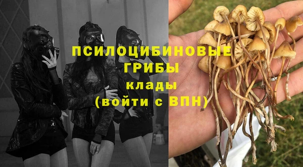 марки nbome Пестово