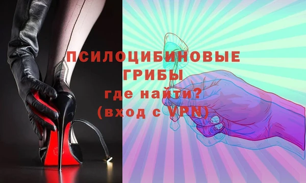 ПСИЛОЦИБИНОВЫЕ ГРИБЫ Галич