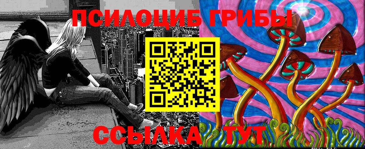 Галлюциногенные грибы прущие грибы  Вход с VPN  Североморск 